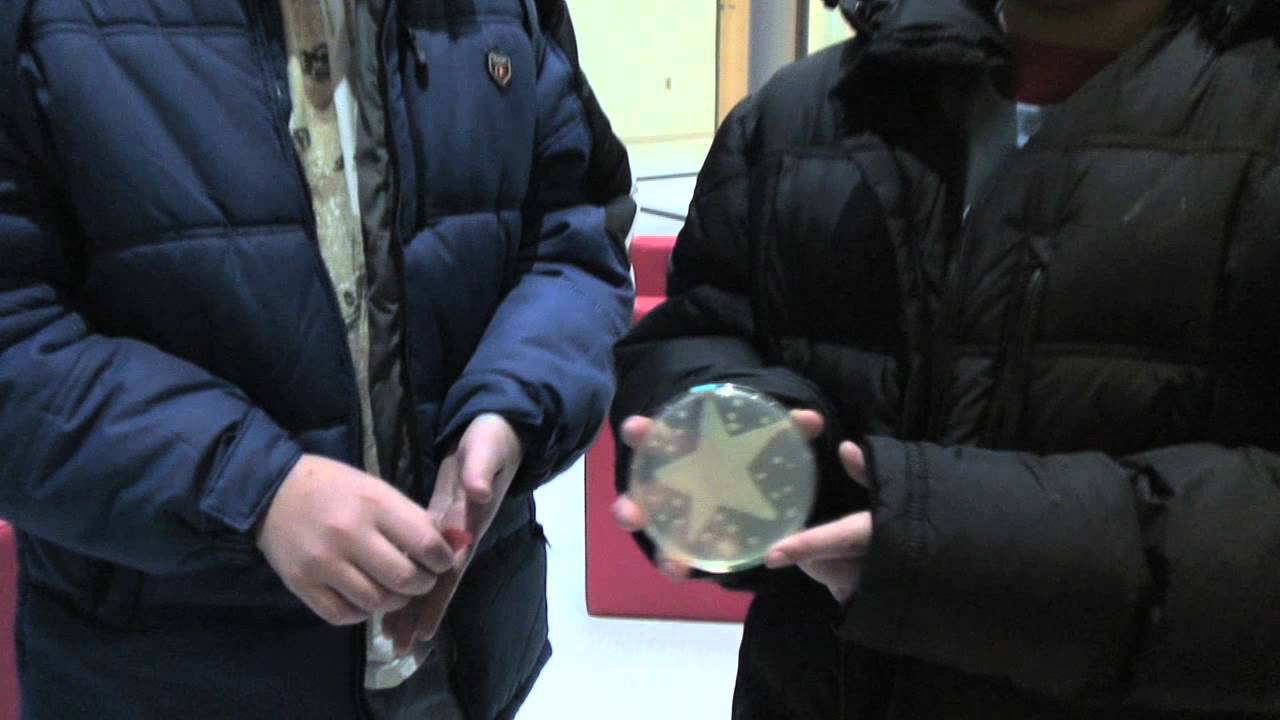 Communicating Science