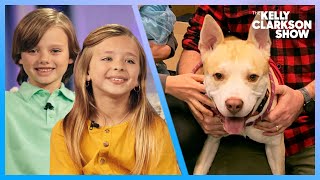 Second Graders Write Adorable Letters To Help Shelter Pets Find Forever Homes