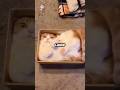 Cats are flexible like LIQUID!