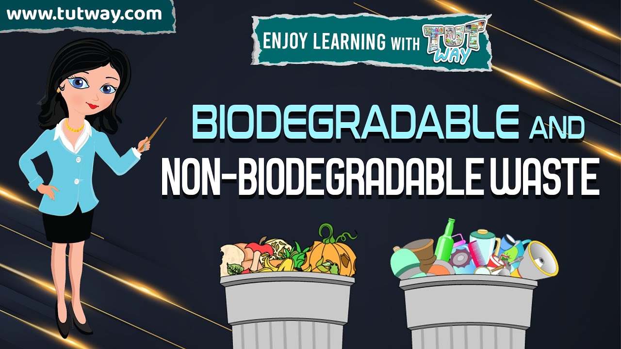 Biodegradable and Non-Biodegradable Waste | Waste Management | How to Recycle Waste