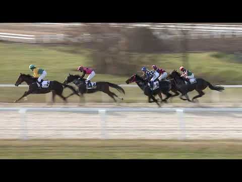 2020.12.06. 02. futam - BIGFOOT HENDIKEP (II.o.)(szintetikus pálya)