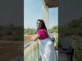 PinkyvLogs