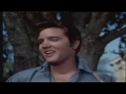 Elvis Presley  -   Got A Lot O' Livin' To Do