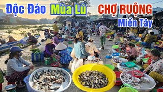 ĐỘC ĐÁO VÙNG LŨ MIỀN SÔNG NƯỚC - CHỢ RUỘNG TRÚNG MÙA CÁ ĐỒNG, TOÀN ĐẶC SẢN MIỀN TÂY Ở CHỢ LONG MỸ
