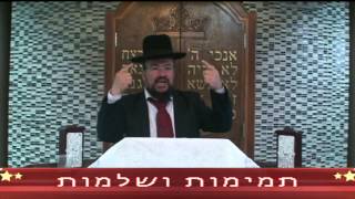 פרשת בהעלותך – תמימות ושלמות