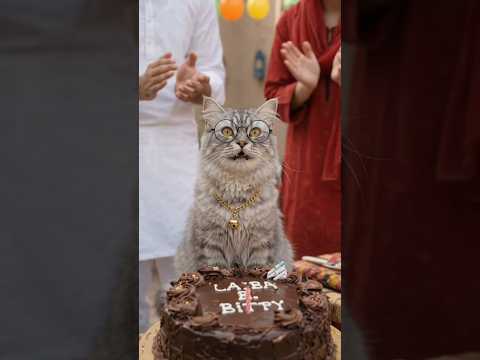 🎂😹 “Kitty Ka Birthday Surprise! 🎉❤️ | Kya Ayaan Aur Laiba Ko Birthday Yaad Tha?”