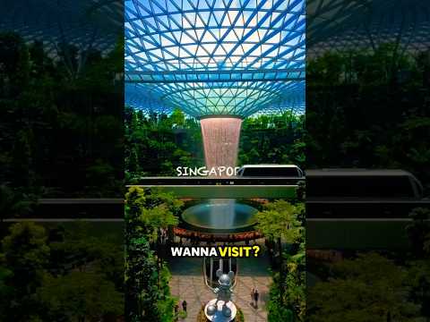 Changi Enchanting Forest: Singapore Airport Oasis (4K)