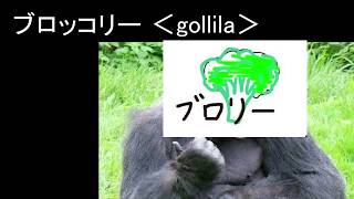 まずは自己紹介しなきゃと思ったけど全然紹介しきれてなかった動画