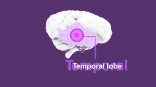 Chapter 3: The different types of dementia