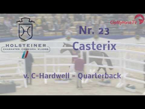 Holsteiner Körung 2019 - Nr. 23 Casterix
