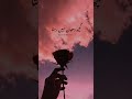 Insaan Mohabbat Me Insaan Nhi Rahta Mirza Galib Poetry Urdu Shayari