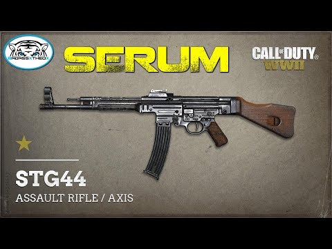 BEST STG VARIANT??? | Call of Duty WW2