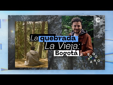La quebrada La Vieja: el oasis escondido de Bogotá