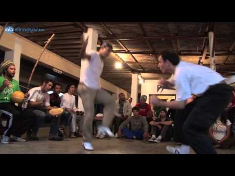 Ferradura e Esquilo - Movimento Novo 2011