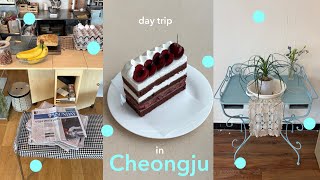 【韓国地方一人旅】ソウル超えの最新カフェツアー5軒🍰日帰り清州 / 韓国会社員vlog