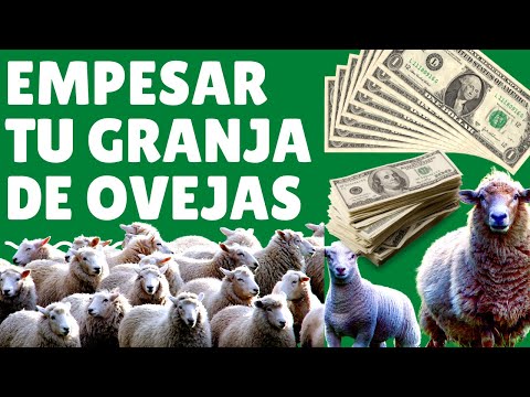 , title : '🤑 Guía Paso a Paso Cómo construir una granja de ovejas exitosa:  2023🤑como ganar dinero con ovejas'