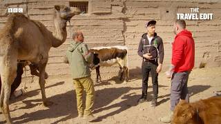 Two Englishmen Attempt to Negotiate for a Camel | Stupid Man Smart Phone | The Travel Edit