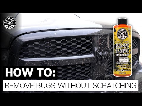 How To Remove Bugs Without Scratching! - Chemical Guys