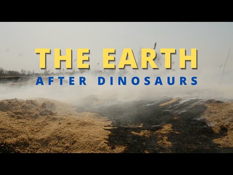 Unlocking the past: Witness the first minutes of dinosaur extinction