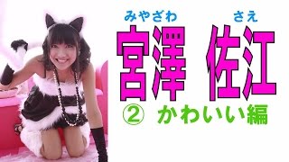 宮澤佐江☆SKE&SNH セクシー画像集② かわいい編