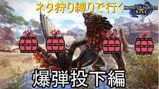 [MHRISE]爆弾投下部隊が行く爆鱗竜