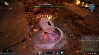 블뤼테 아인라허 신규 10종 금메달