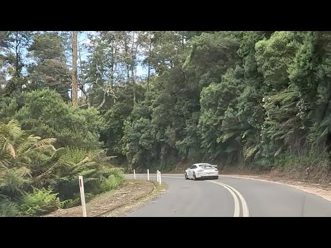 Targa Tasmania Tour 2025 Stage 18 Weldborough Pass