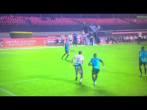 GOL LEANDRO BARCIA São Paulo 0x1 Goiás | Campeonato Brasileiro | 25/09/19