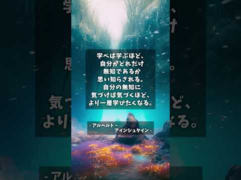 名言を届けします 3 #名言 #格言 #モチベーション #囁き #asmr