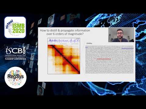 Predicting 3D genome folding from DNA sequence - Geoff Fudenberg - RegSys - ISMB 2020 Posters
