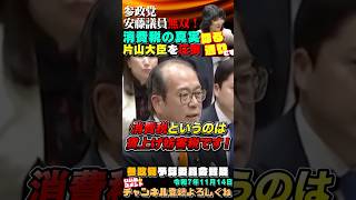 【図解あり】消費税の認識を変える神質疑 #参政党