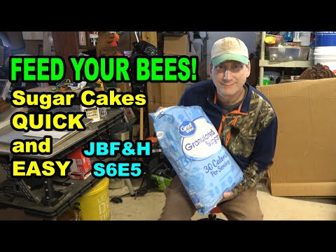 Quick and Easy Sugar Cakes S6E5 #beekeeping