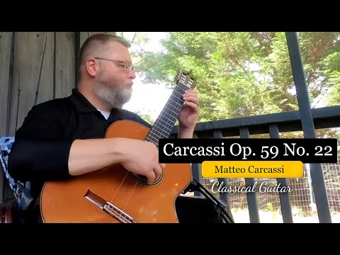 Opus 59 Part 1 No 22 - Waltz In D Minor - Matteo Carcassi