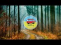 HousePuzzy Puzzy No Risk No Fun House On Wheels