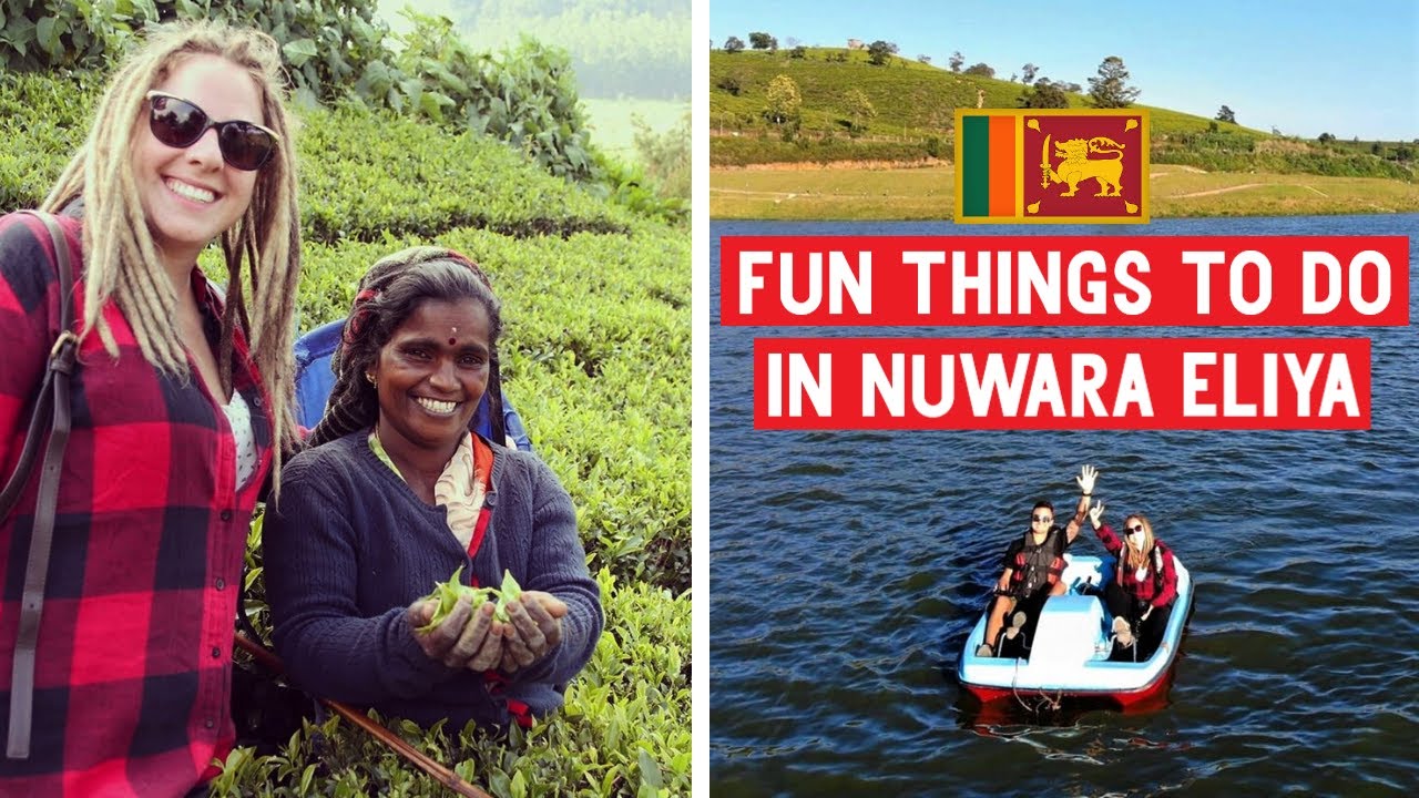 Things to do in Nuwara Eliya, Sri Lanka | Pedro Tea Factory & Lake Gregory