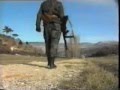 Marko Perković Thompson - Bojna Čavoglave [ SPOT ...