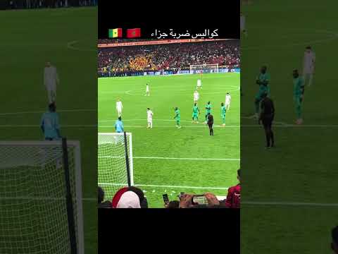 ضربة جزاء دياز الضائعة من المدرجات ✨ #اكسبلور #المغرب #المنتخب_الوطني_الجزائري #الجزائر #shorts