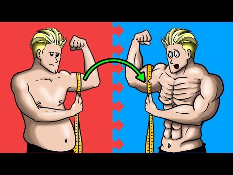 download lagu mp3 mp4 Gym Tips For Muscle Gain, download lagu Gym Tips For Muscle Gain gratis, unduh video klip Gym Tips For Muscle Gain
