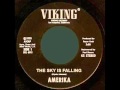 AMERIKA The Sky Is Falling 1970 Rare Organ Dominated Psych Doom Rock