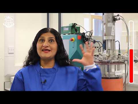 Natural Polymers from Bacterial Sources - Ipsita Roy Research Short