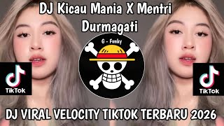 Download lagu DJ KICAU MANIA X MENTRI DURMAGATI PARTY VELOCITY FULL BASS VIRAL TIKTOK TERBARU 2026 ! mp3 Download lagu DJ KICAU MANIA X MENTRI DURMAGATI PARTY VELOCITY FULL BASS VIRAL TIKTOK TERBARU 2026 ! mp3