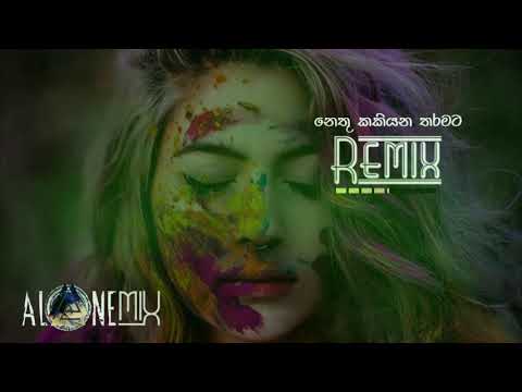 නෙතු කකියන තරමට | Nethu Kakiyana tharamata /Remix 2019