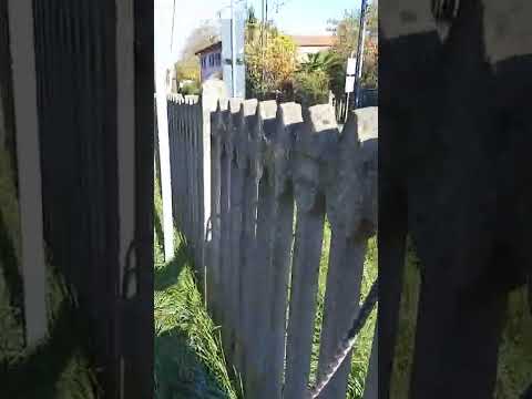 il treno merci che TRANSITA dal passaggio a livello di Besnate..     Linea Gallarate-Laveno.