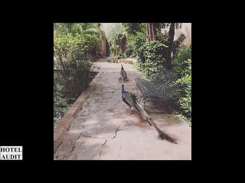 Африка   Africa Marrakech   Марокко   Марракеш   Les Deux Tours Ле Дё Тур 1 1 Hotel Audit Отель Ауди