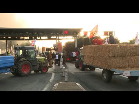 Dermatose: des agriculteurs empruntent l'A9 à Narbonne vers Carcassonne | AFP Images