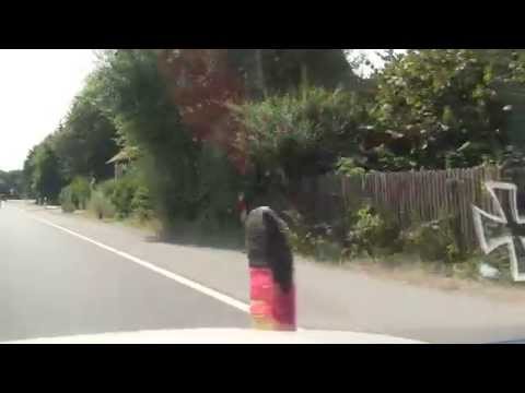 Schäferhof Stadt Nienburg Weser Niedersachsen 24.7.2013