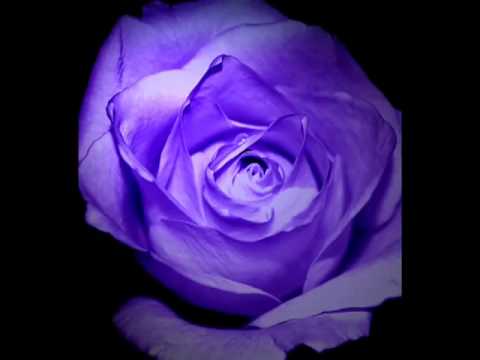 La vie en rose by Lisa Ono with Lyrics.flv