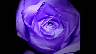La vie en rose by Lisa Ono with Lyrics.flv