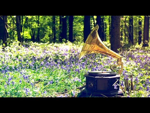 Sommerserenade - Ensemble Mediterrain