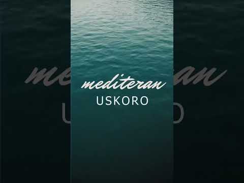 Who See feat. Senidah